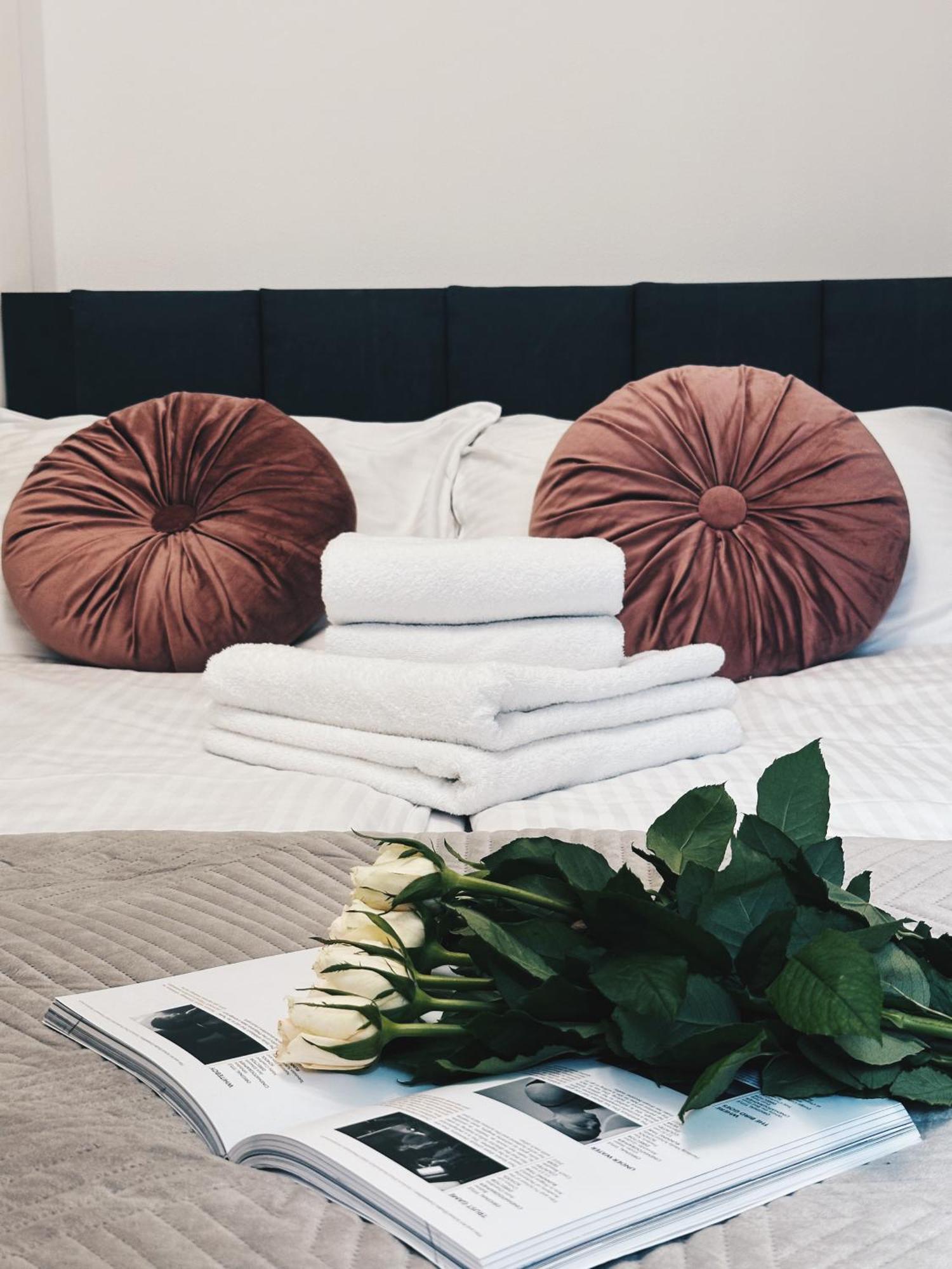Soft Loft Apartamenty Stary Toruń Zewnętrze zdjęcie
